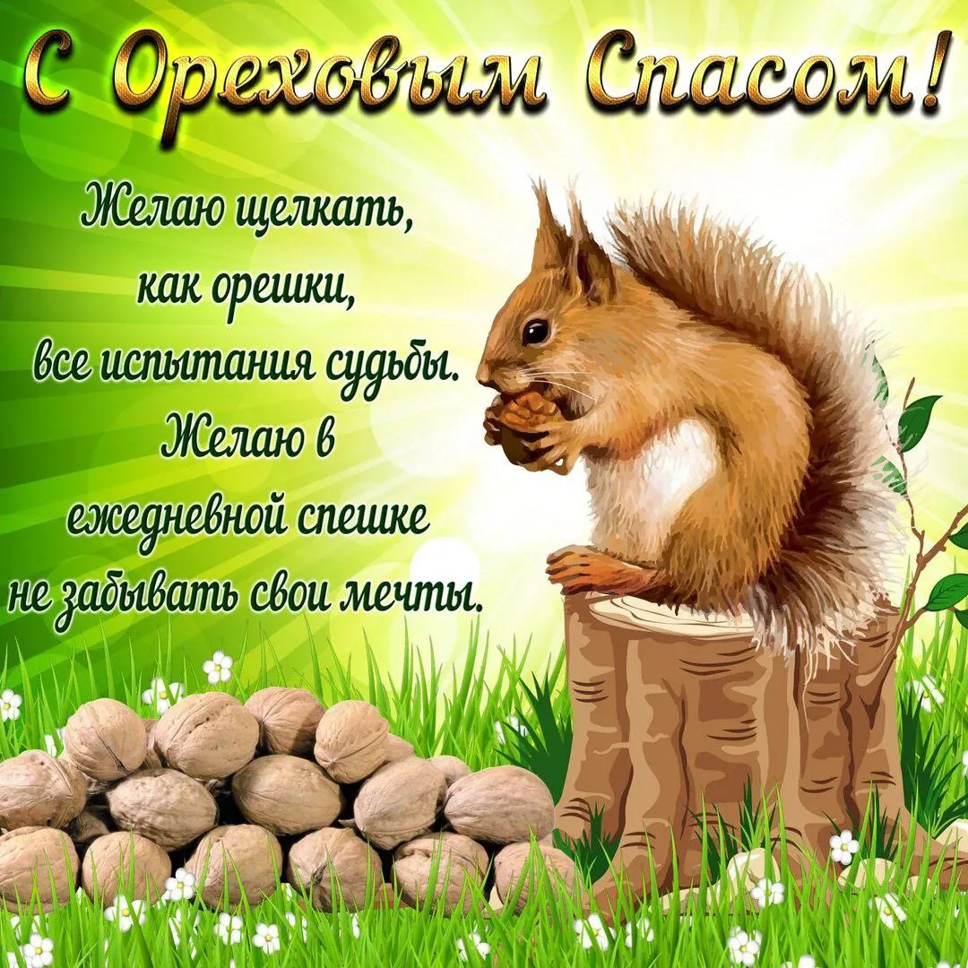 Открытки и приколы 🌸