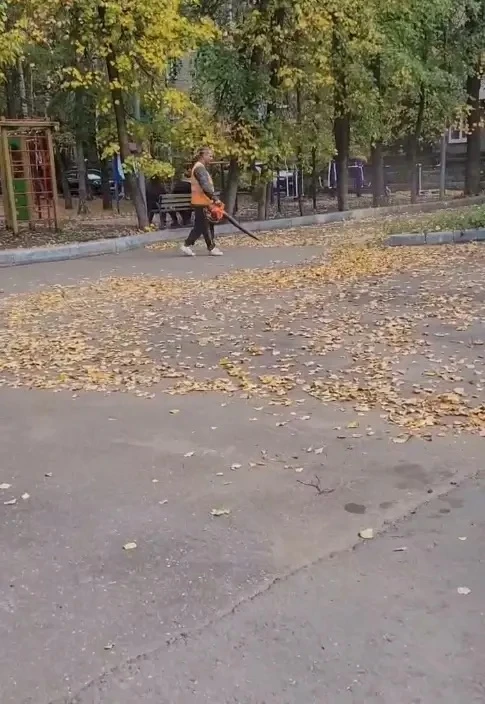 🍂 «Листья просто переезжают с места на место»: жители Томилино пожаловались на новый м...