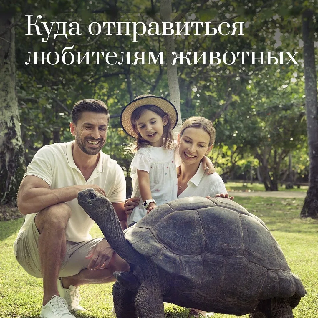 🌎 Куда отправиться любителям животных?