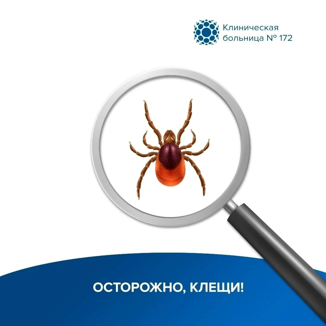 Берегитесь клещей!