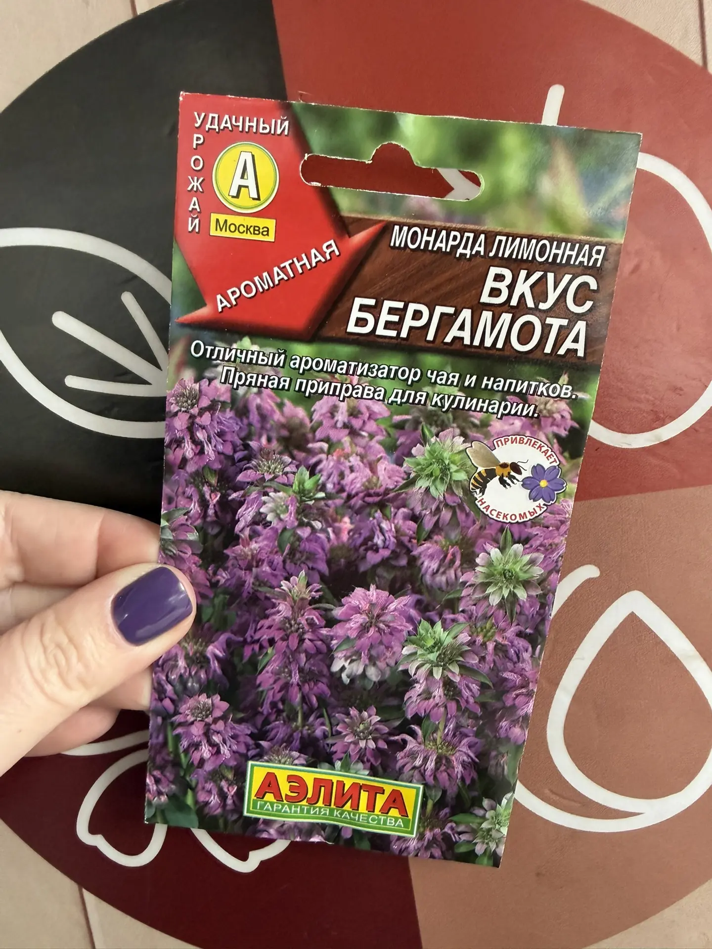 🌿 ПОСЕЙТЕ ЭТУ АРОМАТНУЮ «ПРЯНОСТЬ ДЛЯ ЧАЯ» ПОД ЗИМУ — И В САДУ БУДЕТ СВОЙ БЕРГАМОТ! ☕🌸