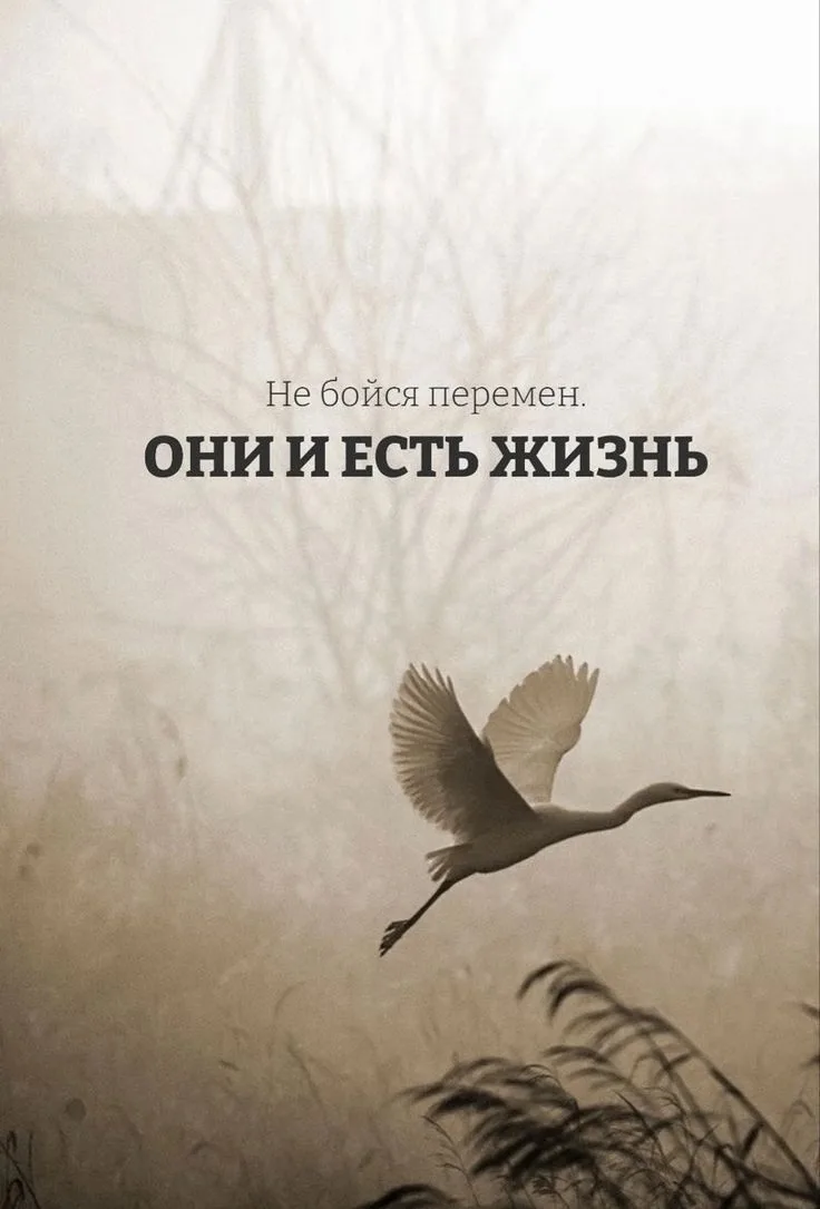 Истины Жизни 🌙