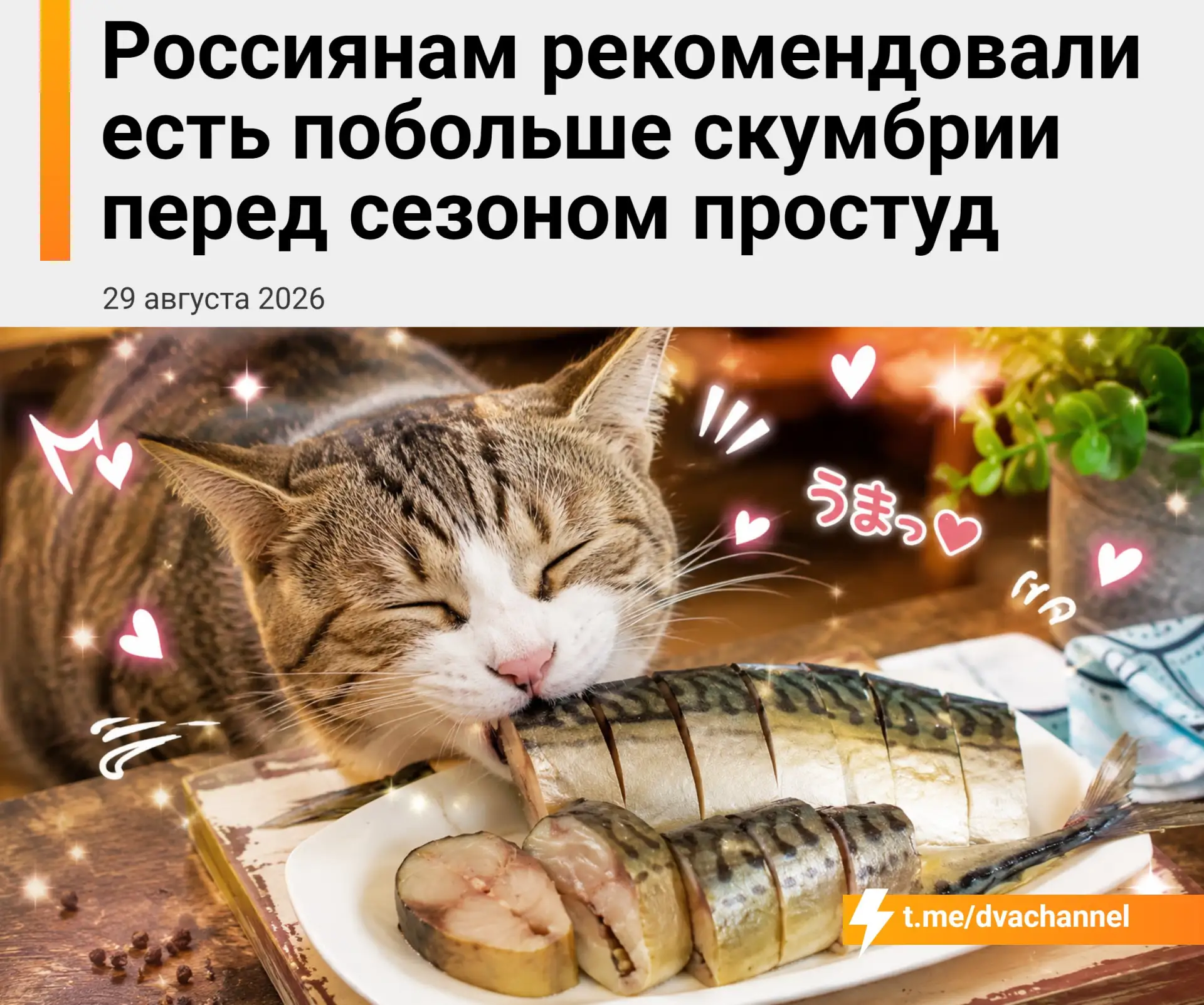 Перед сезоном простуд россиянам посоветовали чаще есть скумбрию — в ней много омега-3 и...