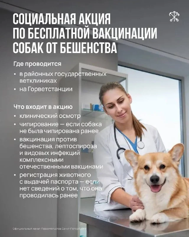 🐕 Бесплатная защита от бешенства для собак