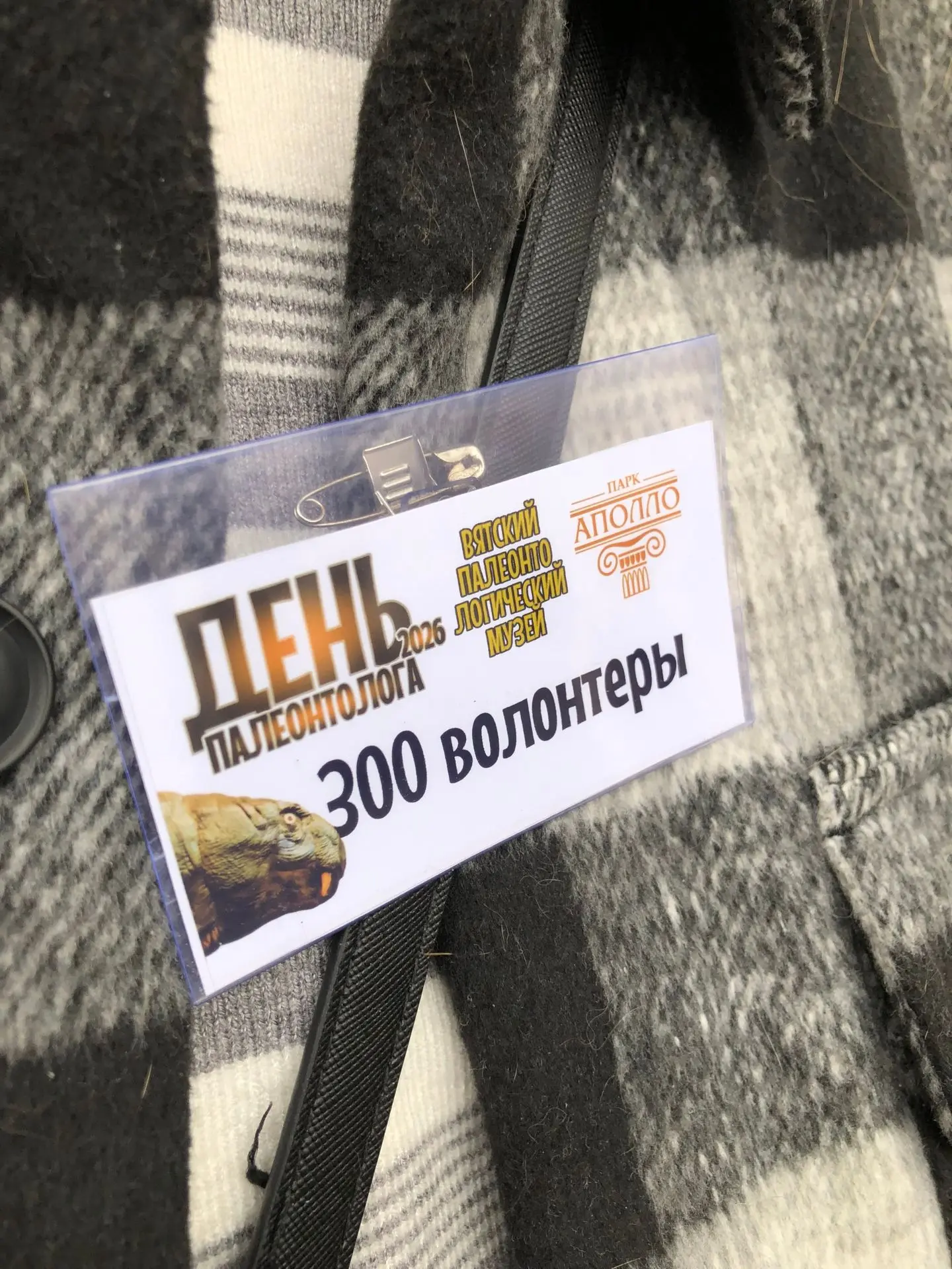 Вот, котиков вам с утра пятничной ленты, да не каких-нибудь, а палеонтологических и эво...