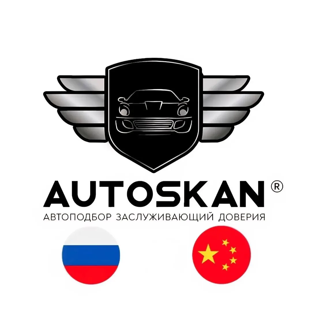 👋 С Вами команда AUTOSKAN 🇷🇺 🇨🇳