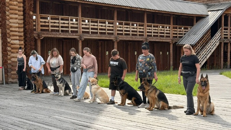 🐶 Более 200 гостей приехали на День фронтовой собаки в Албазинский острог, чтобы посмо...
