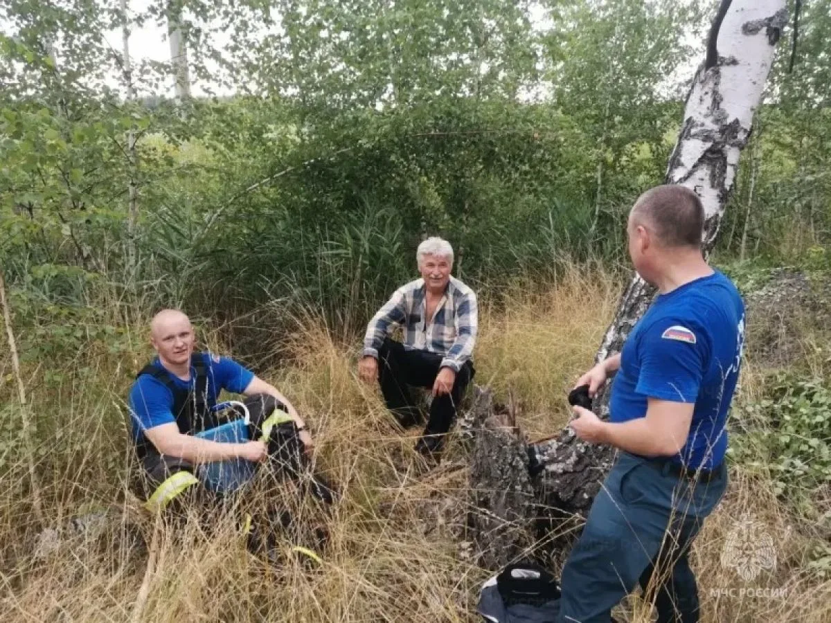 В Донском пожарные вывели из болота заблудившегося грибника