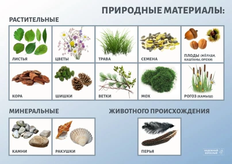 Кстати, вы можете собрать материал во время прогулки с ребятами. Или предложить родител...