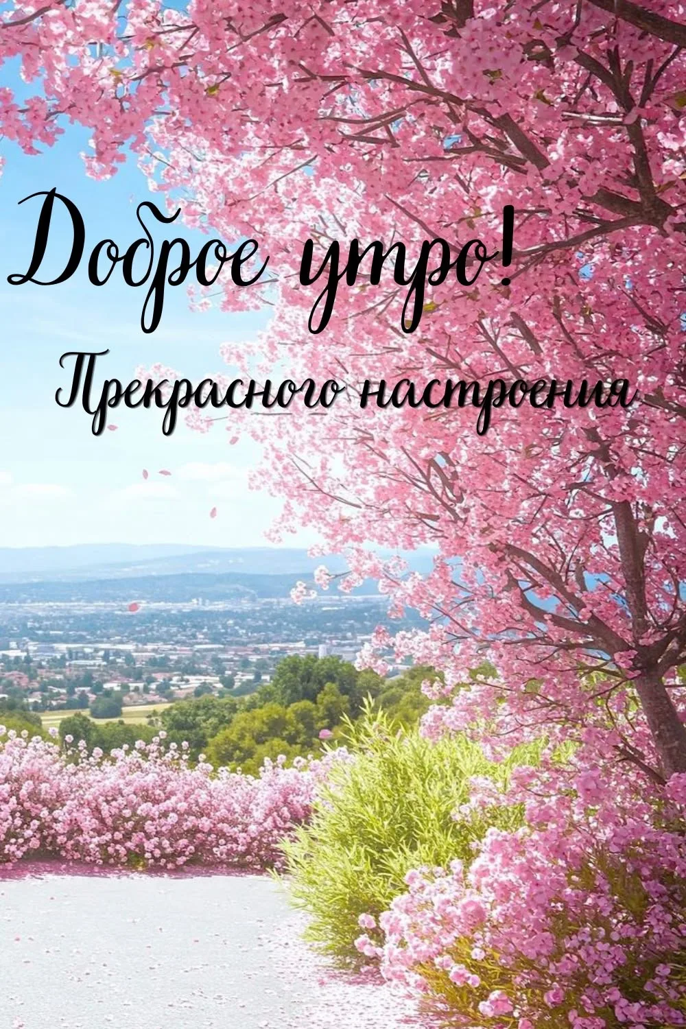 Открытки на каждый день | Подпишись 👇🏻