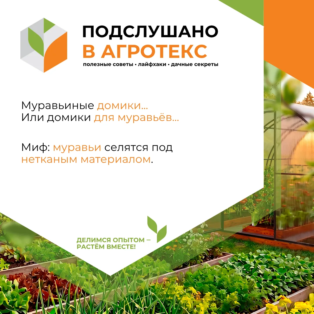 Иногда в интернете встречаются комментарии и мнения о том, что нетканый материал станет прекрасным «