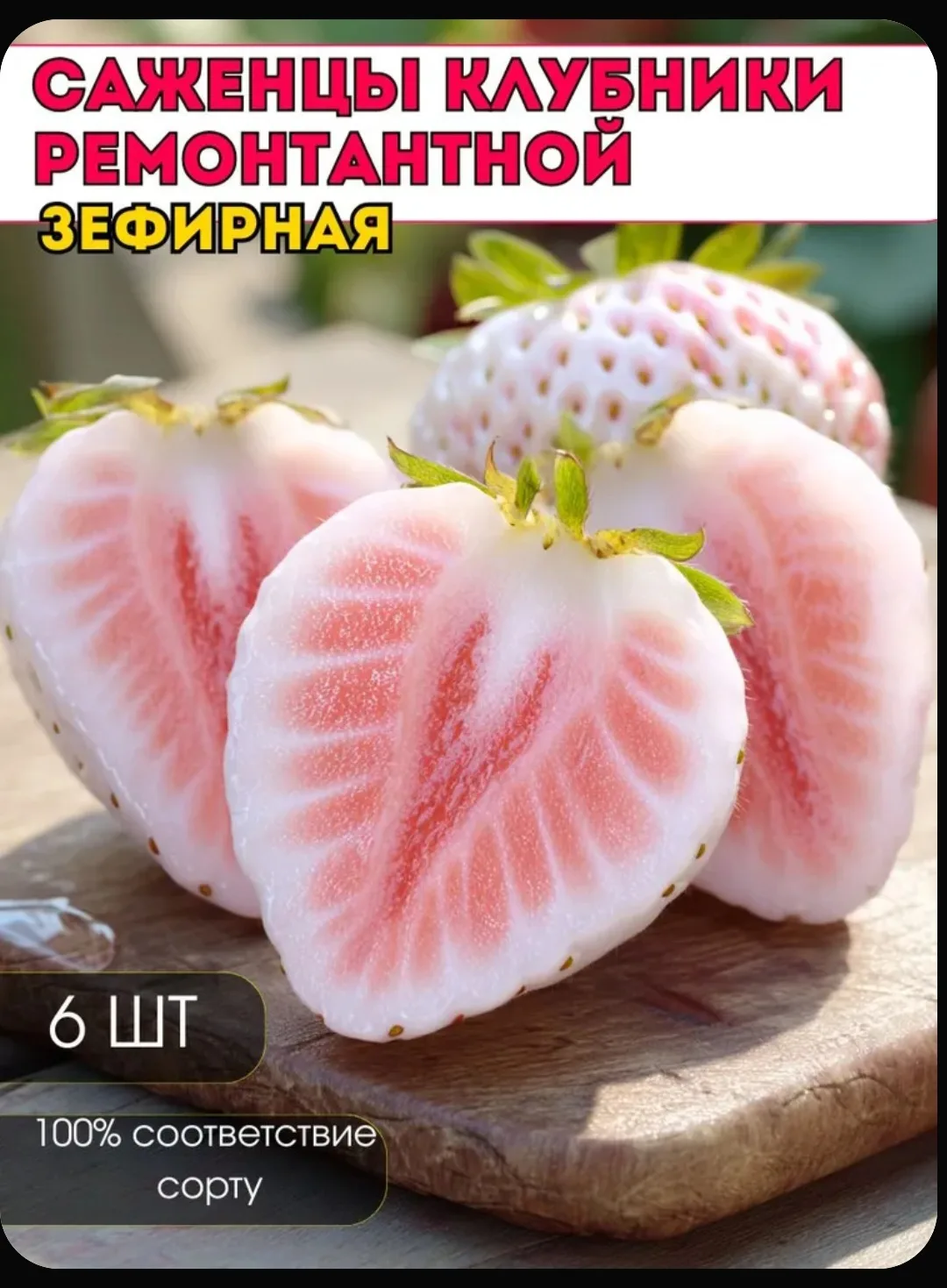 Сегодня буду садить саженцы вот такой вот клубники. Уж очень интересно что вырастит🙃🍓