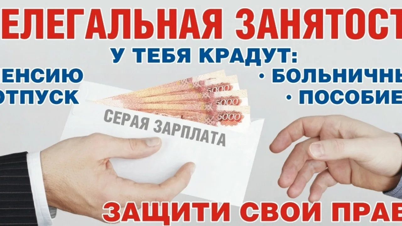 ⛔В 2026 году в России продолжается масштабная кампания по легализации трудовых отношени...