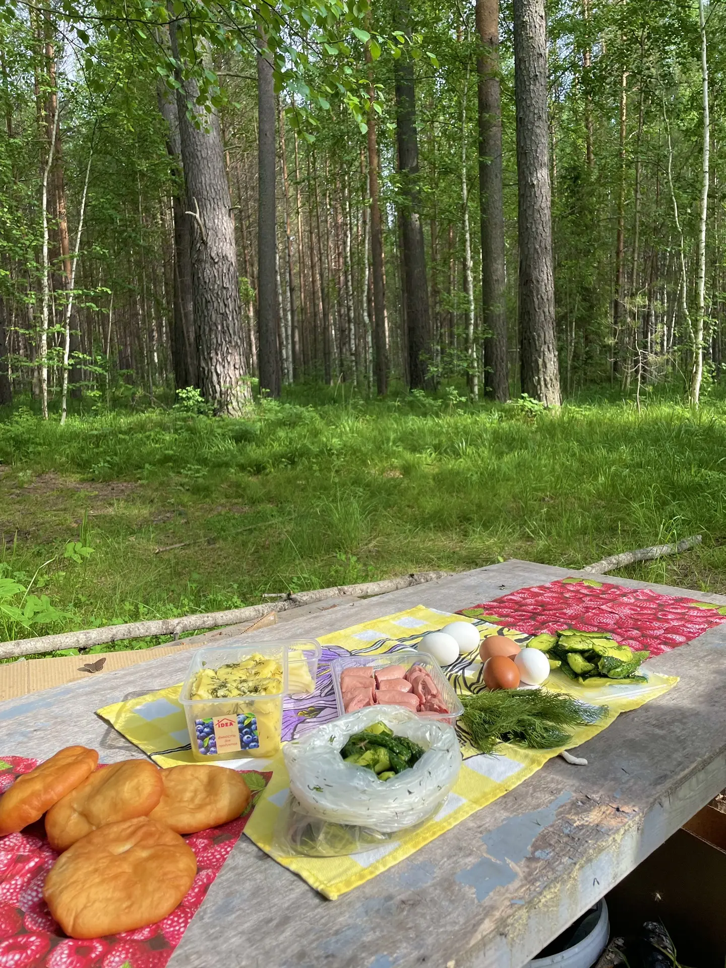 Перекус в тайге на берегу речки Бергамак.