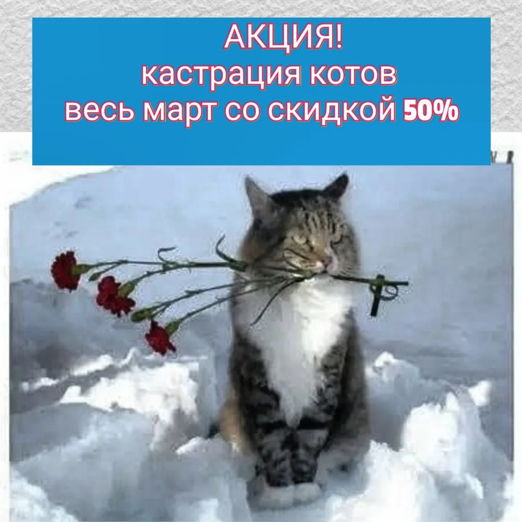 Приглашаем на льготные операции в Вохме. Запись по тел. 89101956964, 8(49450)21-2-33. (...