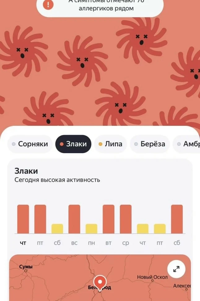 Аллергики, держитесь. У злаков сейчас свой сезон!

В Белгородской области высокая активность пыльцы.