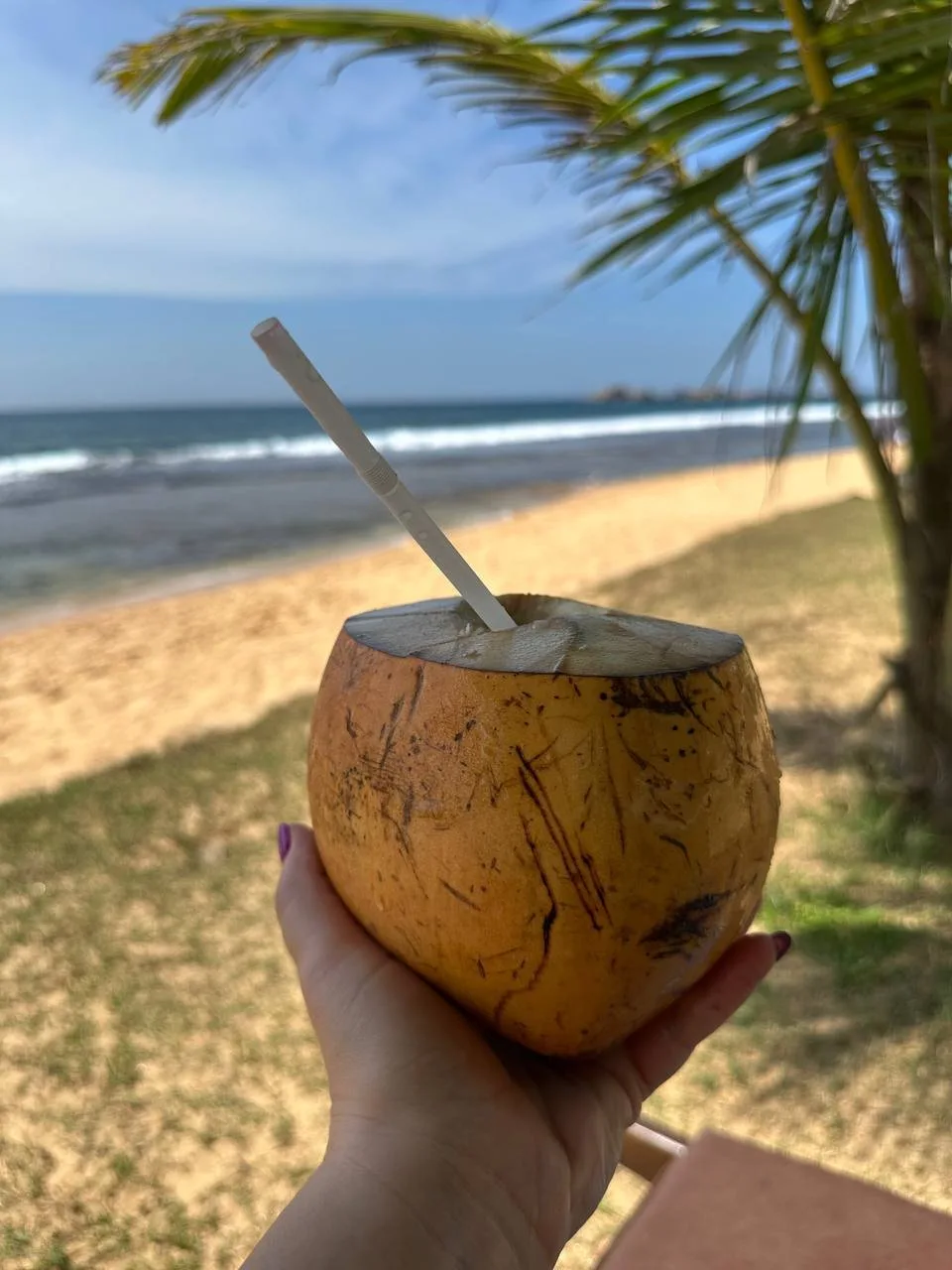 🌴 Шри-Ланка - одна из самых доступных тропических стран: райские пляжи, древние храмы, природа, оке