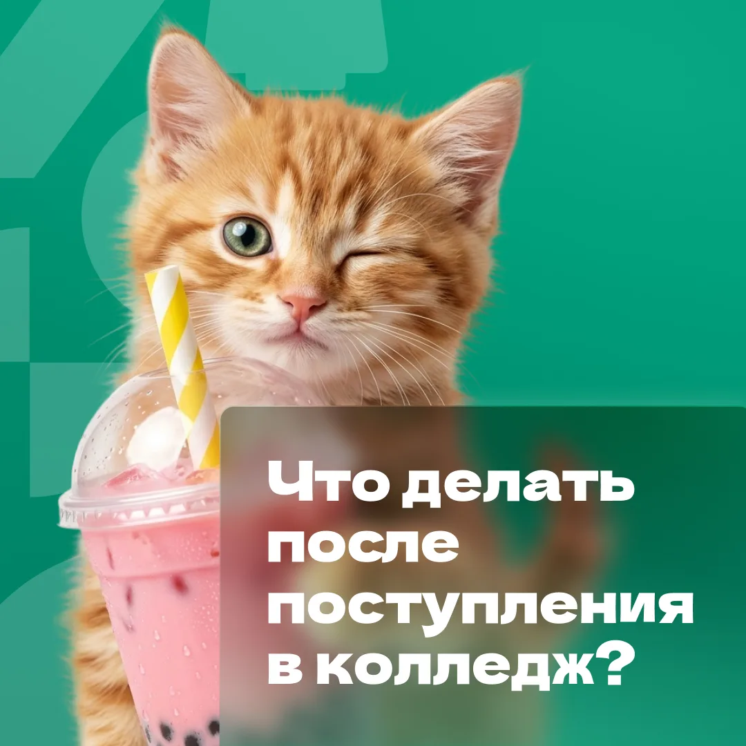🙌 Хоп – и ты уже студент! Что дальше?