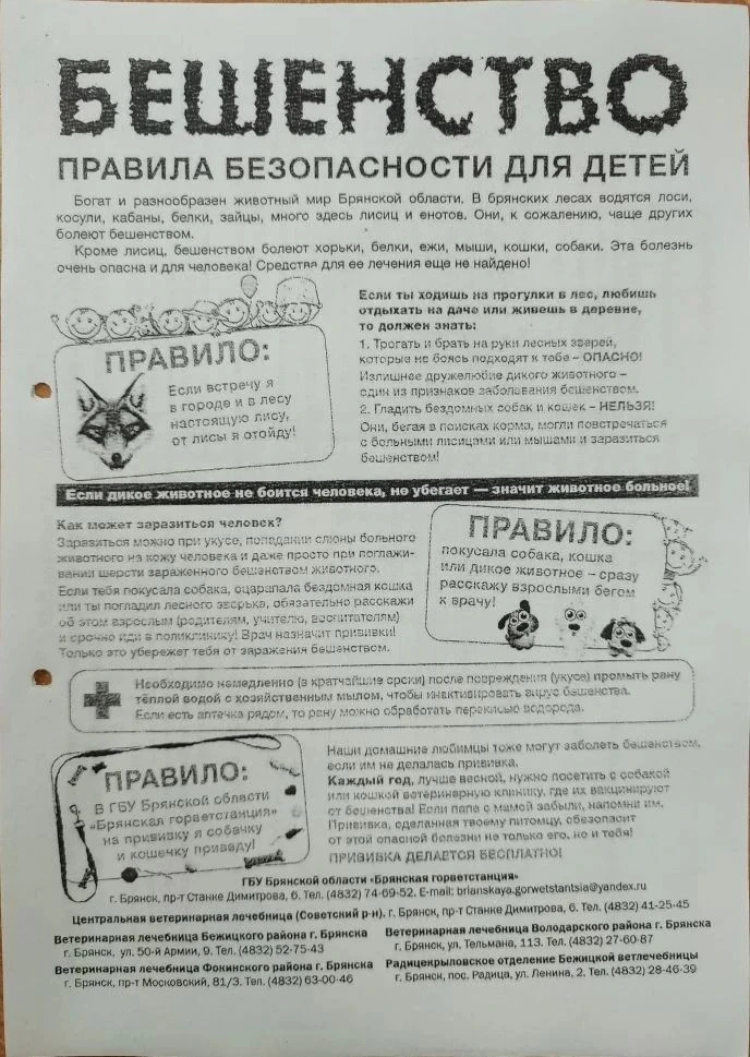 Медиа публикации