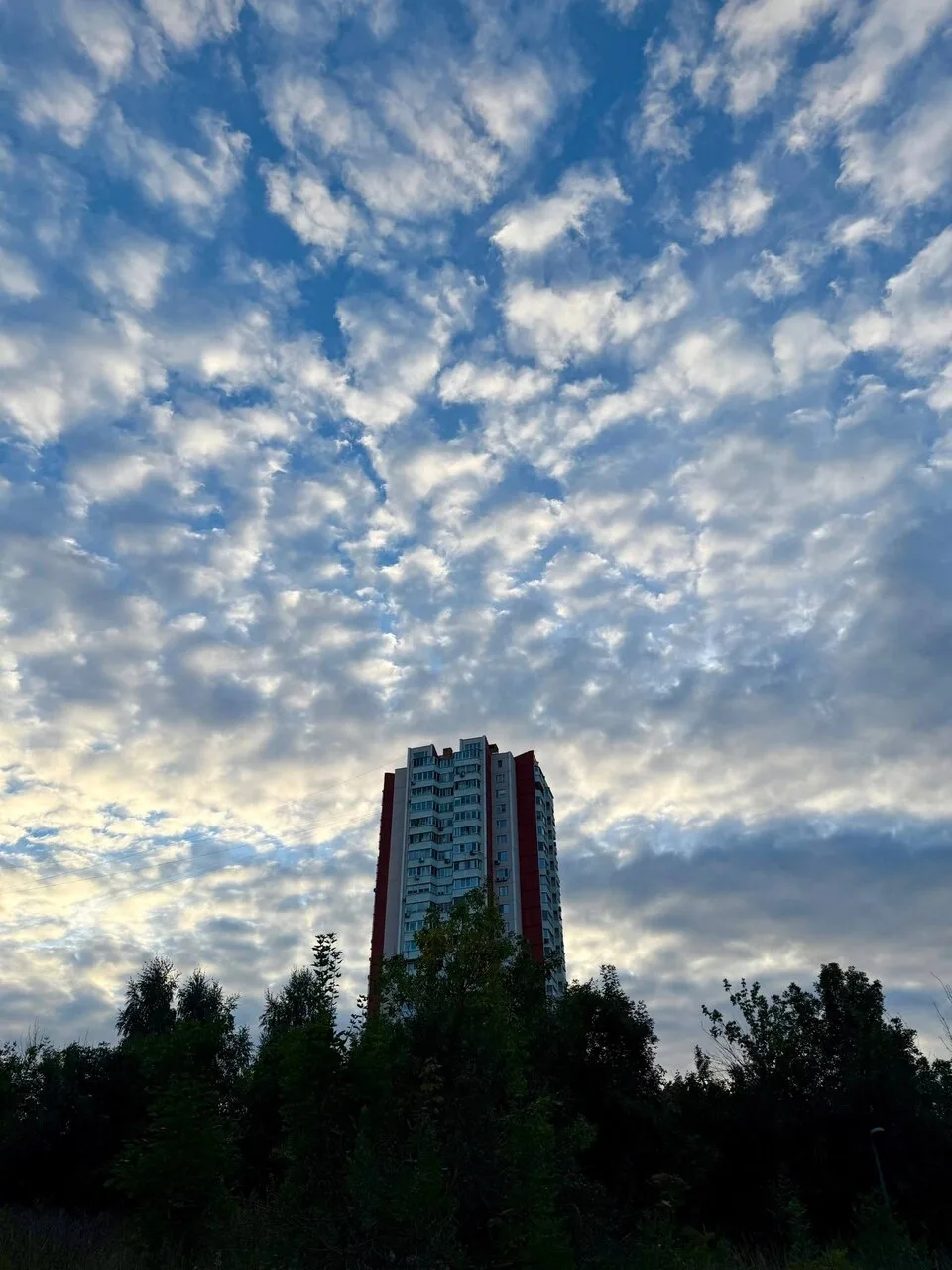Какая же красота нас ждет, если просто посмотреть вверх 😍