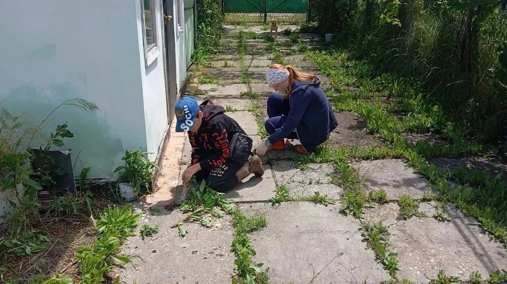 Всем известно, какую важную роль в личности ребенка играет трудовое воспитание.🤗