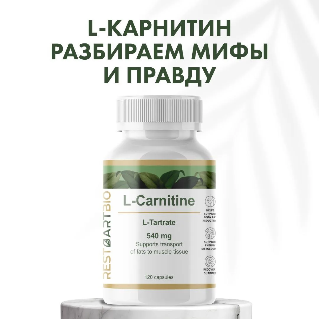 L-КАРНИТИН — РАЗБИРАЕМ МИФЫ И ПРАВДУ 🧐