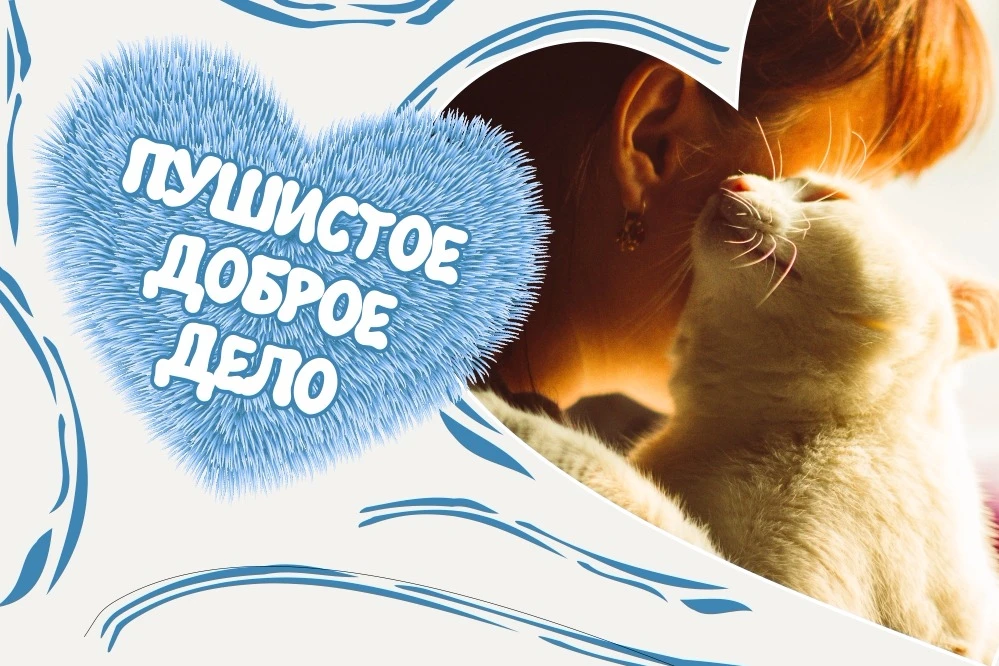 ❤️ Акция «Пушистые хвостики»: поможем братьям нашим меньшим вместе!