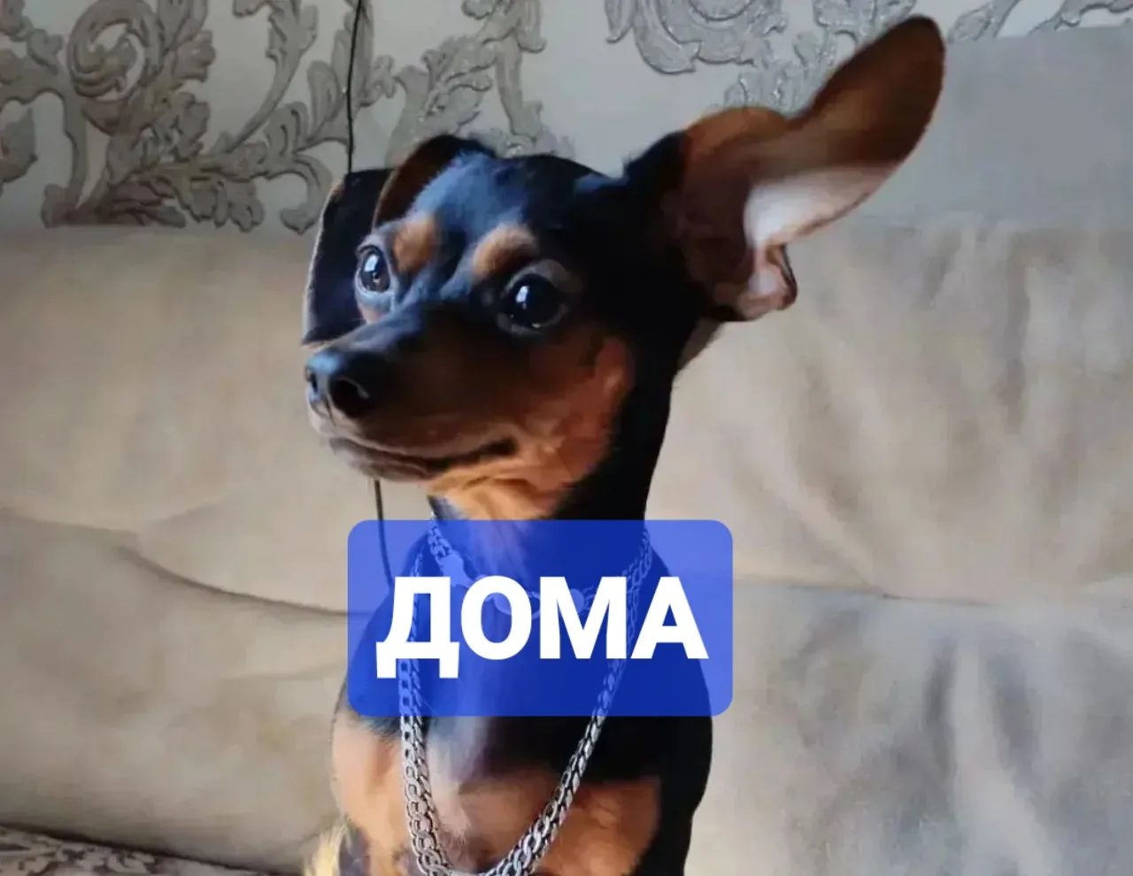 Найдена