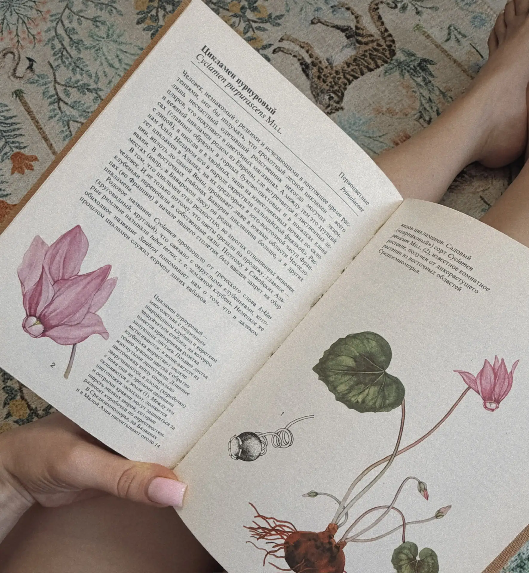 📚 Что читают бьюти блогеры по выходным?   Ладно, за других не скажу, но чаще всего, все, что угодно,