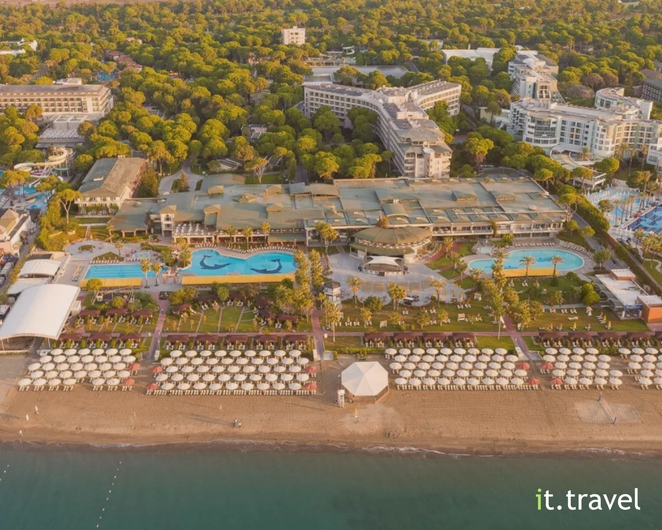 Очень классный отель, зелёная территория и бассейн с морской водой🔥