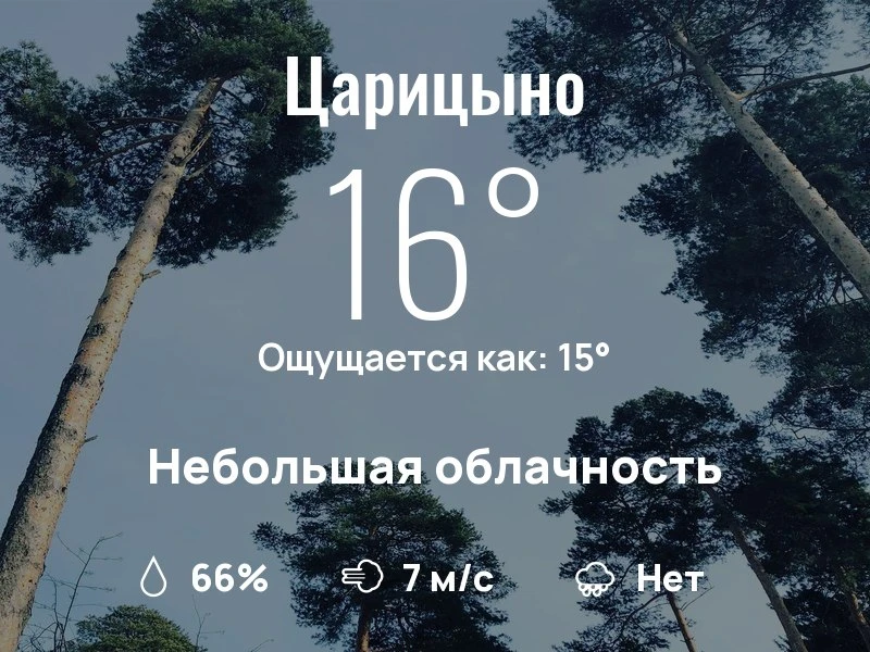 Что с погодой в Царицыно?