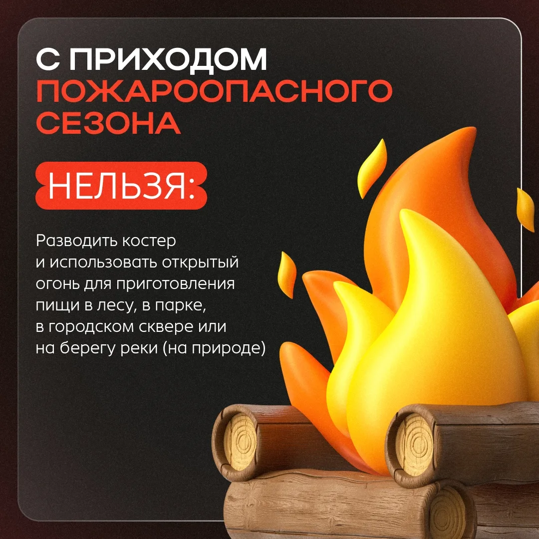 Шашлыкам быть? Как безопасно устраивать пикники?
