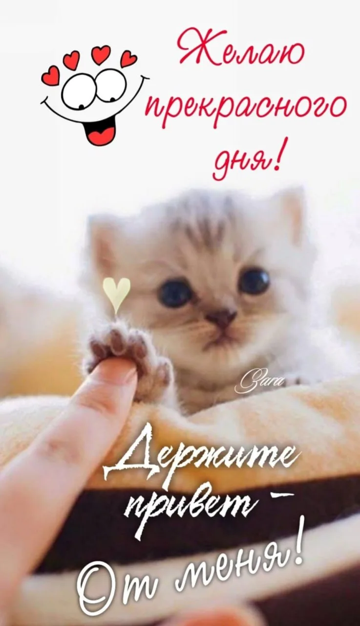 🥰Ставьте реакции и делитесь открыткой с близкими ❤️