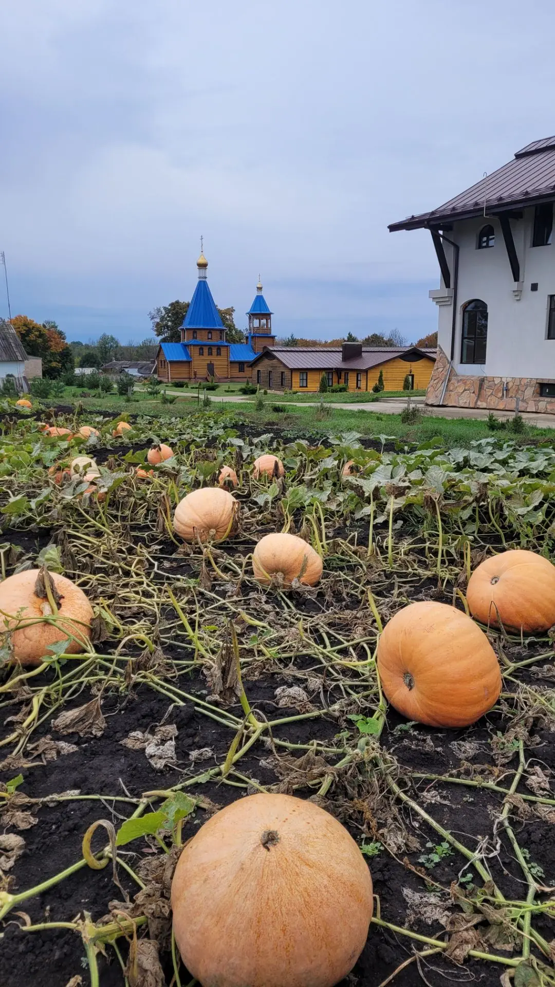 Разбились облака. Алмазы дождевые,