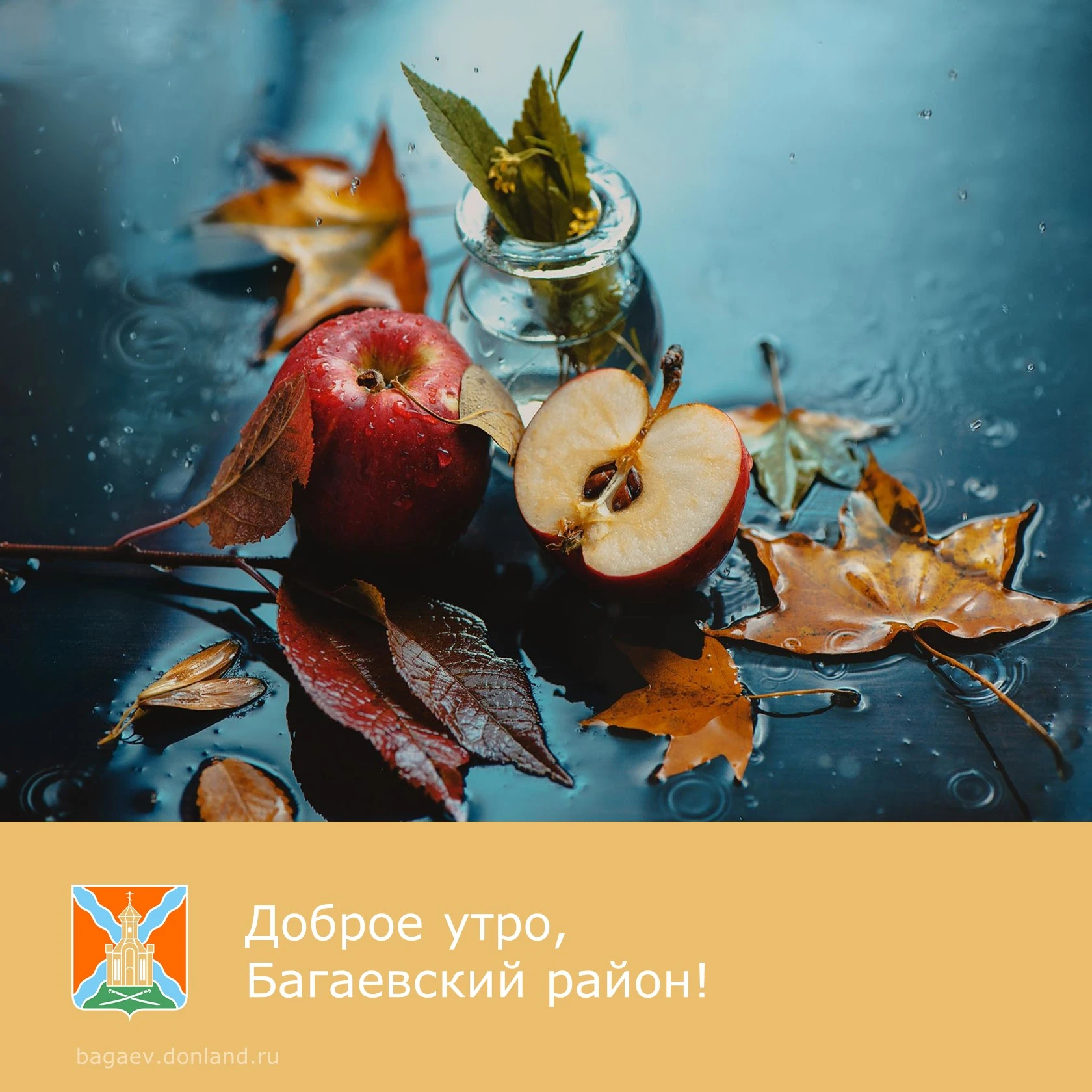 ☀️ Доброе утро, уважаемые жители Багаевского района!