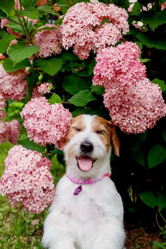 🥰🥰🥰