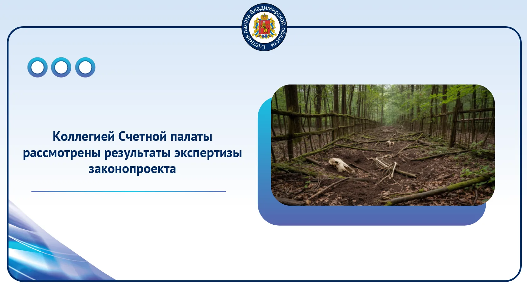 Коллегией Счетной палаты утверждены результаты экспертизы законопроекта, уточняющего Закон Владимирс