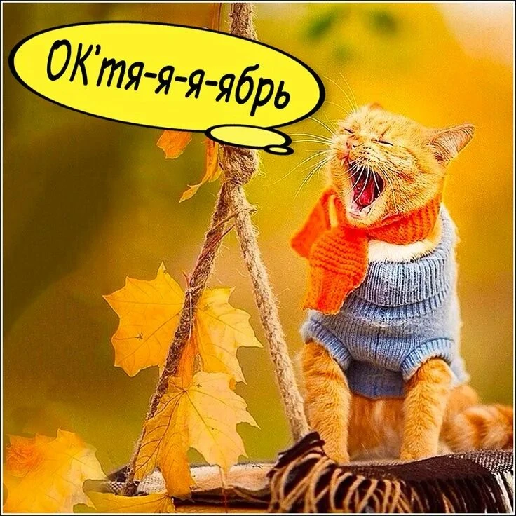 Привет! 🍂🍁🍂🍁🍂🍁💛