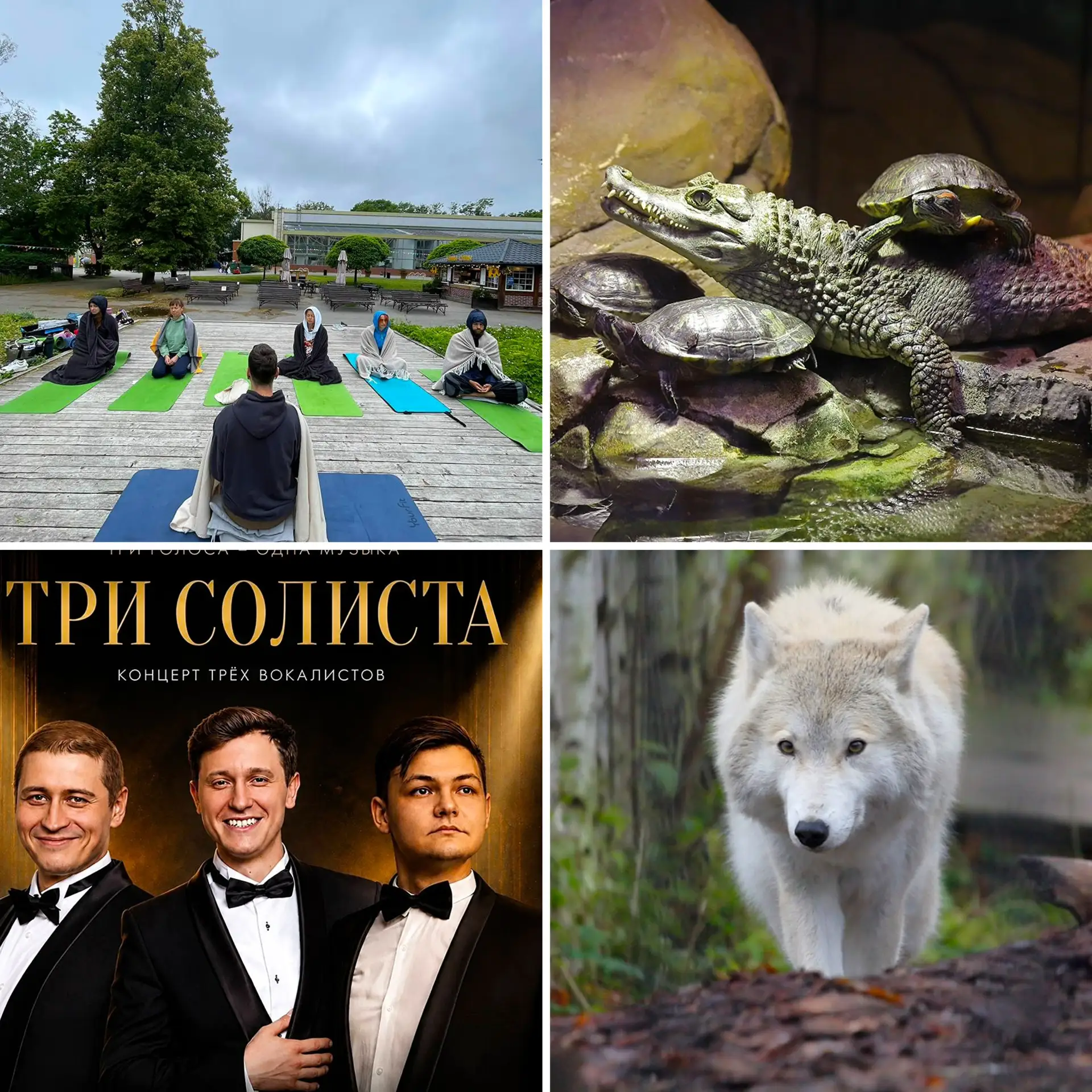 У кого еще планов на выходные нет, стройте пожалуйста!

🟢11 июля 9:30
🟢Открытое занятие по йоге

-