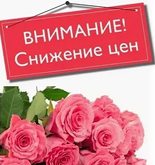 СНИЖЕНИЕ ЦЕН НА РОЗЫ