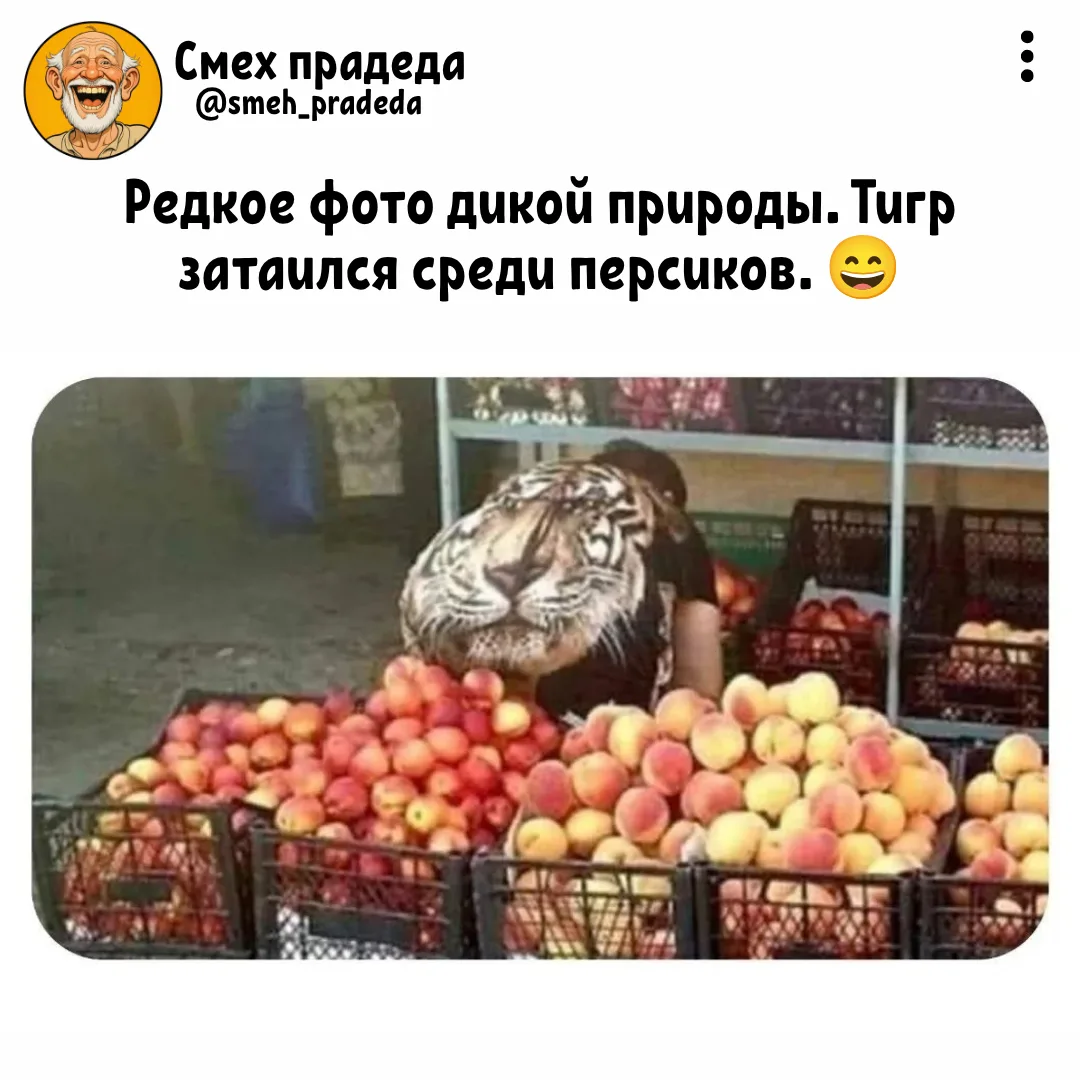 ➠Смех прадеда