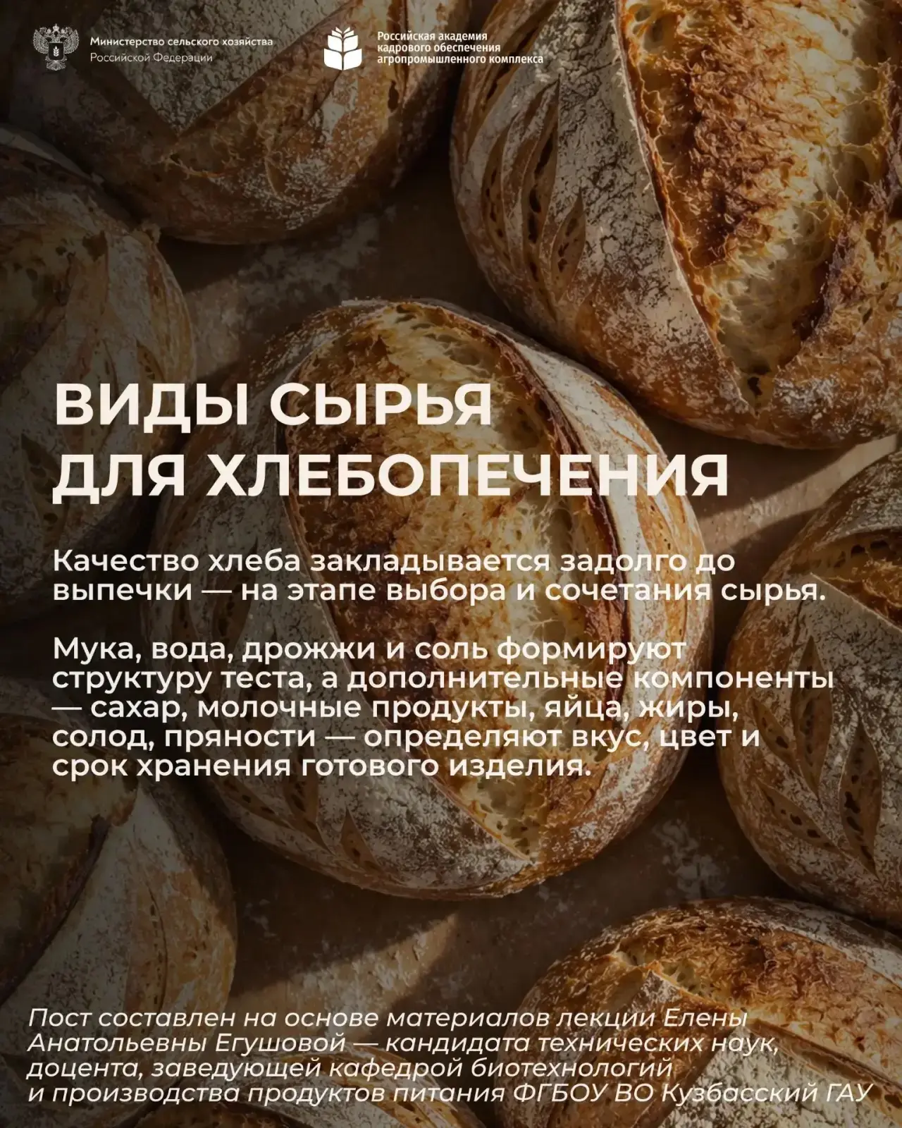 Качество хлеба закладывается задолго до выпечки — на этапе выбора и сочетания сырья. В ...