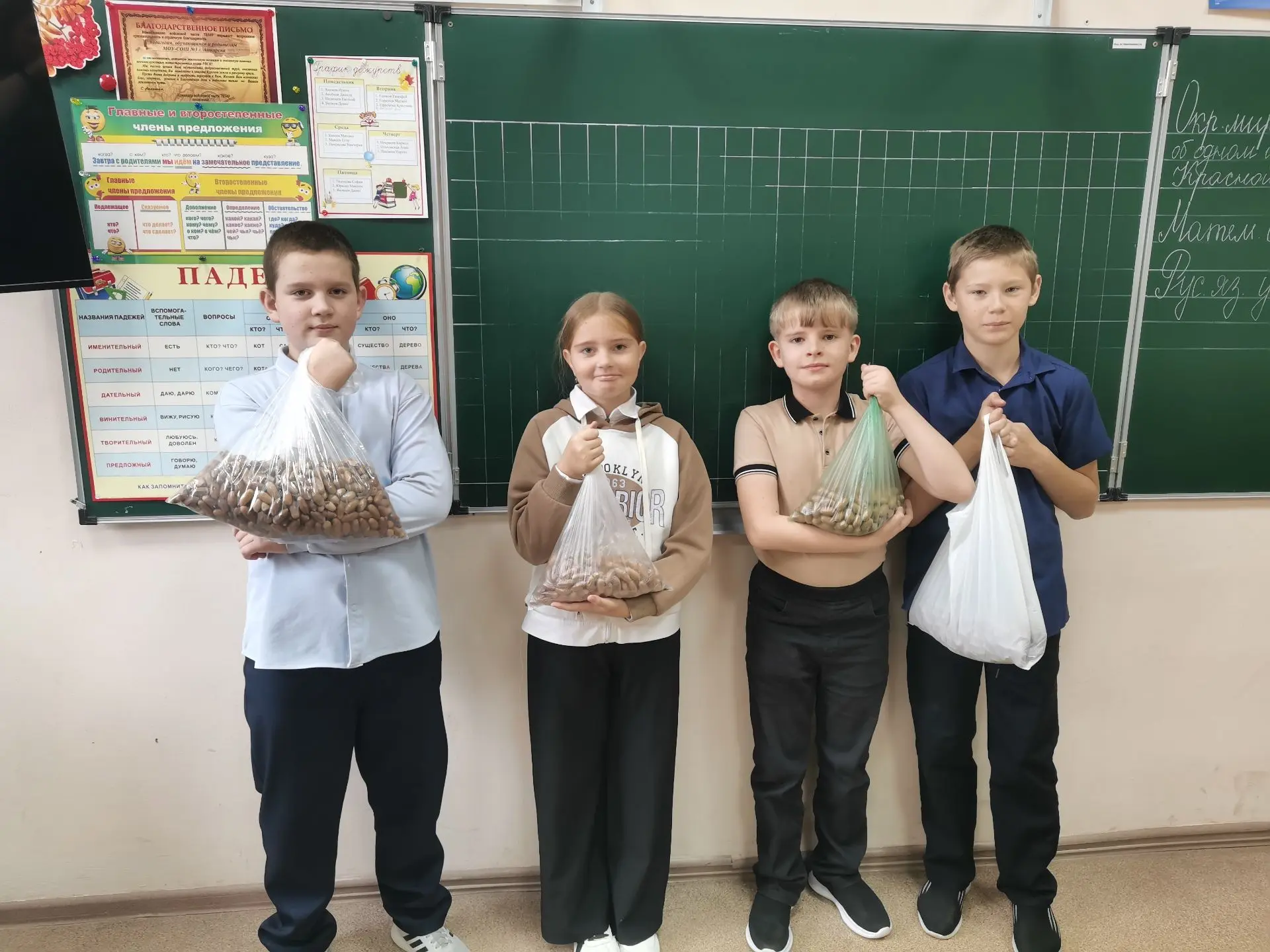 Учащиеся 4"Б" класса приняли участие в акции " Сдай желудь - спаси лес"