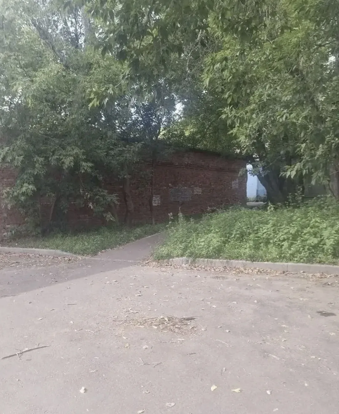 До/после