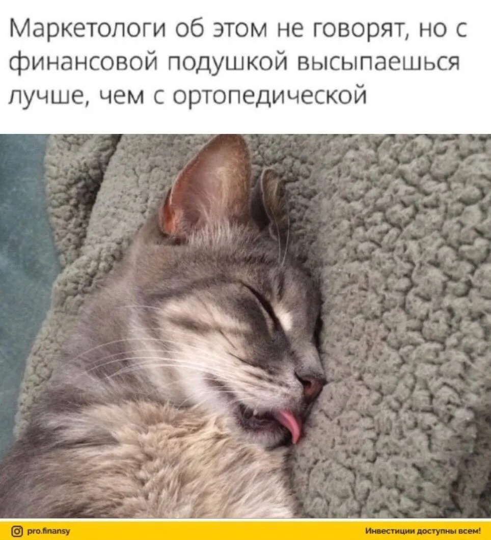 Какая финансовая подушка вам не подходит?