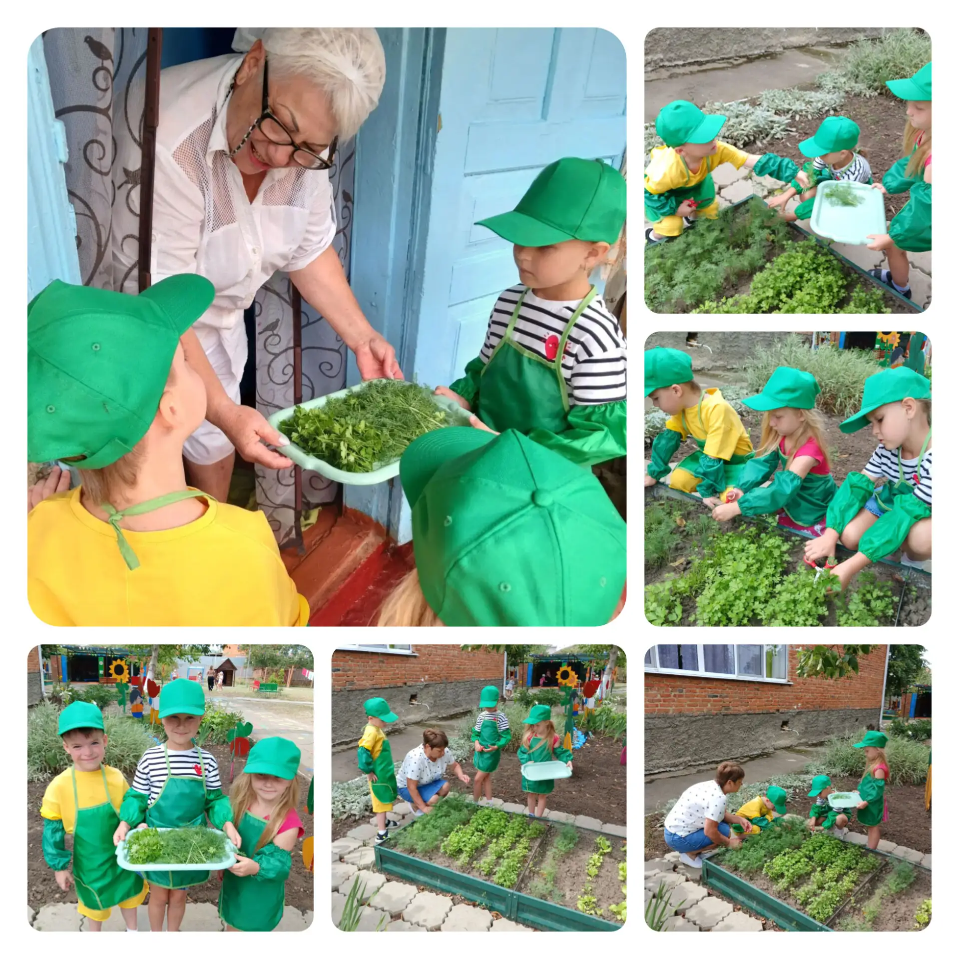 🌞 Солнышко + 💦 Капельки = 🥬 Суперурожай!