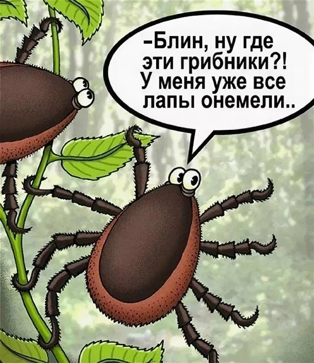 Клещи в Ростовской области будут активный вплоть до декабря