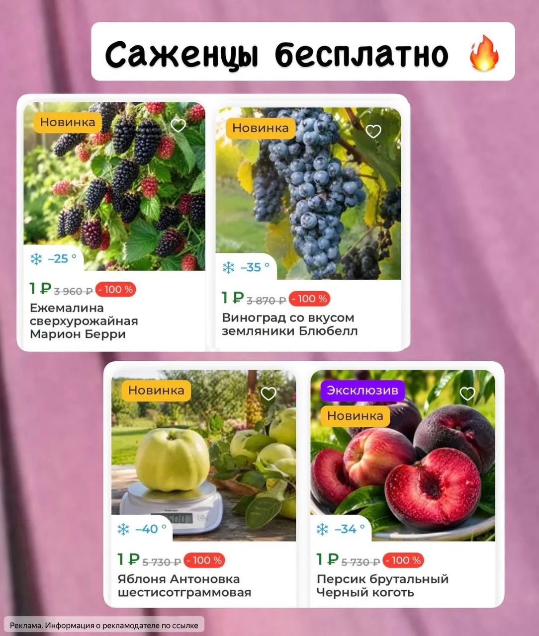 Саженцы по 1₽ 😱 любимая акция активна😍