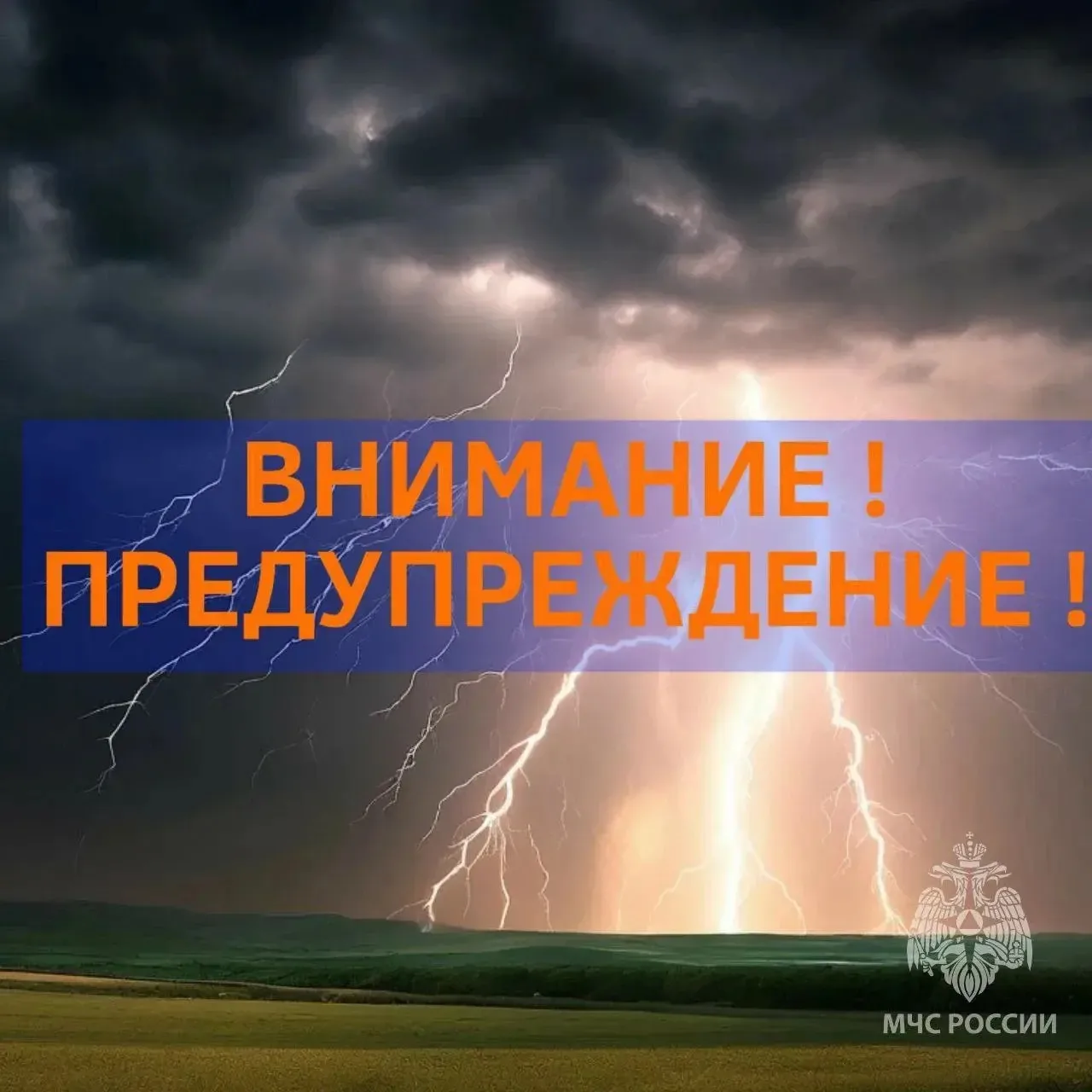 ‼️ Внимание ‼️