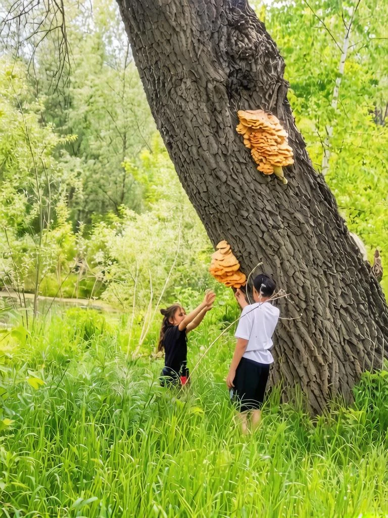 ЭКСКУРСИЯ ПО МАЛОЙ РОДИНЕ